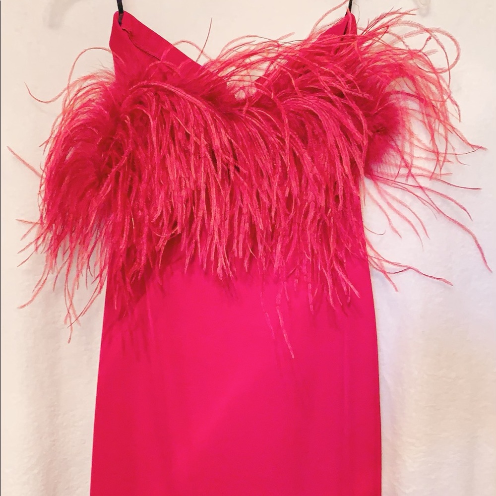 Red Dress with Feathers